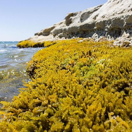 Villa Casotto Il Carrubo, A 100 Mt Dal Mare! Avola Exterior foto